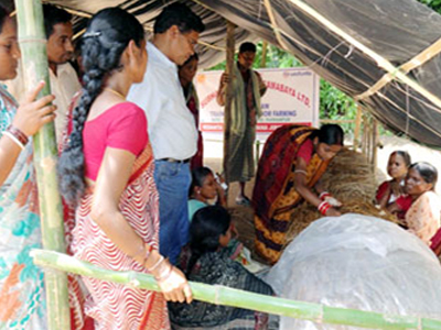 Orientation Program On Marigold Cultivation & Mushroom Farming To Rural Women