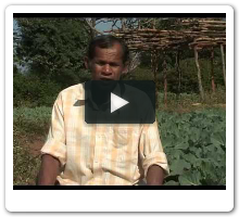 Vedanta Agriculture Initiatives,Lanjigarh